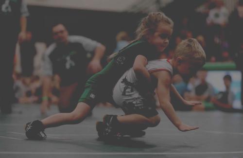 <h4>Wrestling<br><strong>Events</strong></h4>