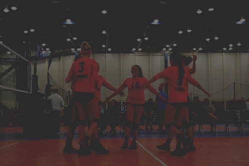 <h4>Volleyball<br><strong>Events</strong></h4>